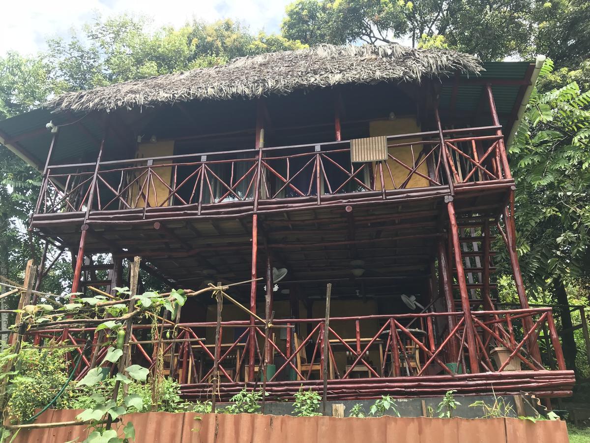 Free Spirit Oasis Bocas del Toro Exterior foto